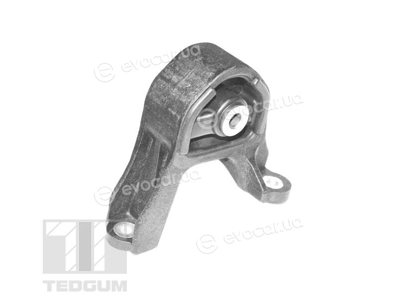 Tedgum TED98330