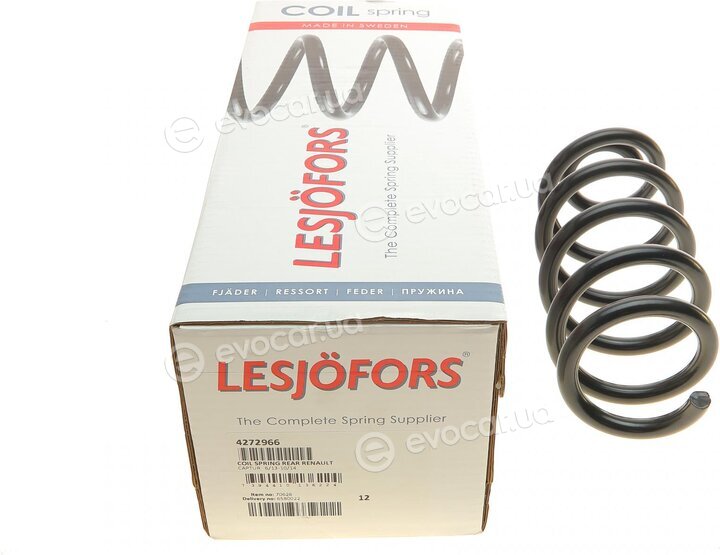 Lesjofors 4272966