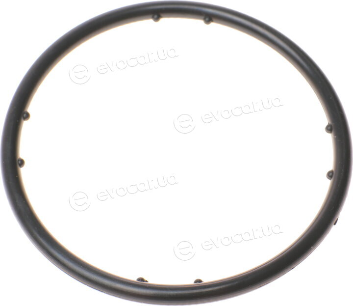 Dayco KTBWP2960