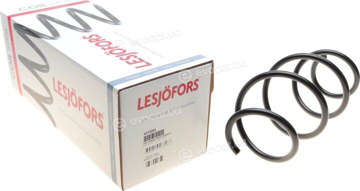 Lesjofors 4073002