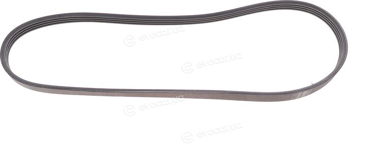 Hutchinson 874 SK 4