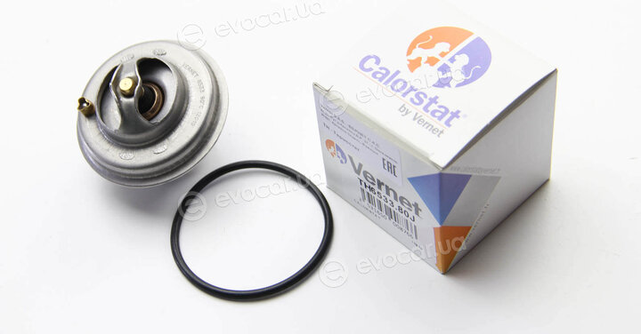 Vernet / Calorstat TH6533.80J