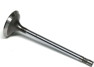 Gunes 1405