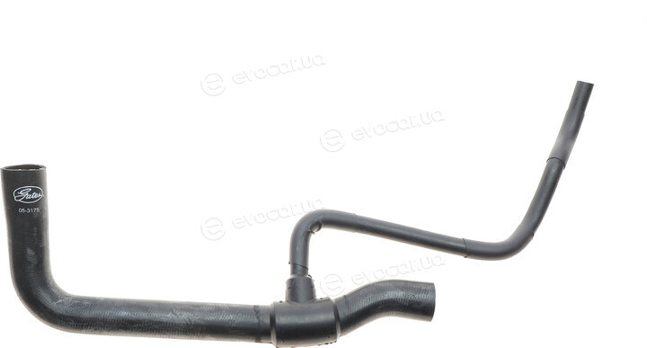 Gates 05-3175