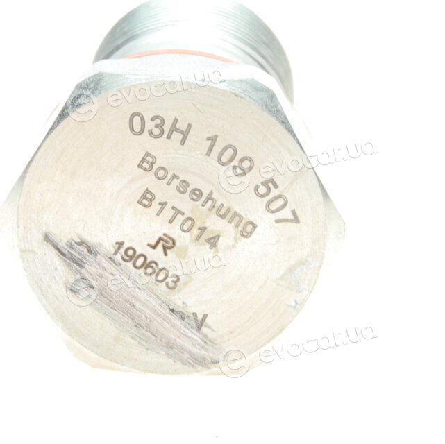 Borsehung B10207