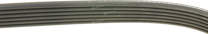 Dayco 6PK870