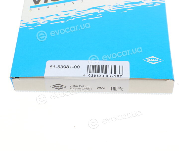 Victor Reinz 81-53981-00