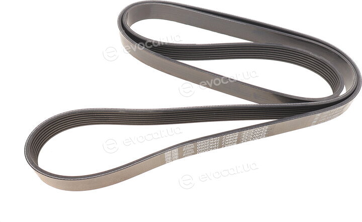 Dayco 7PK2050