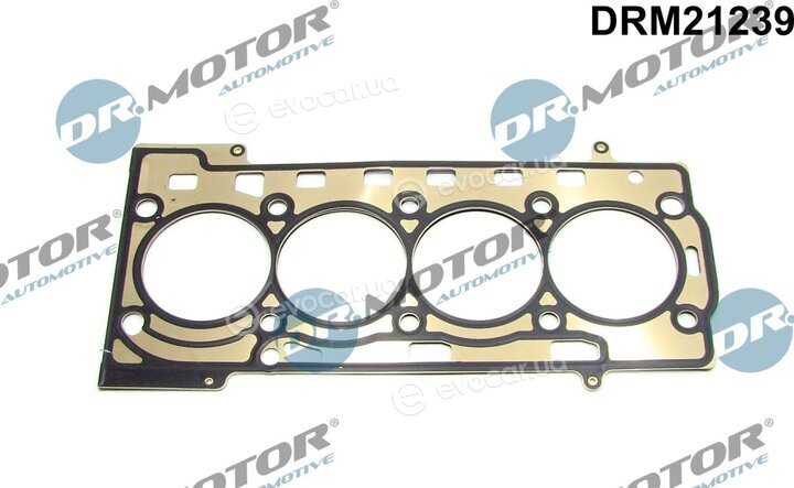 Dr. Motor DRM21239