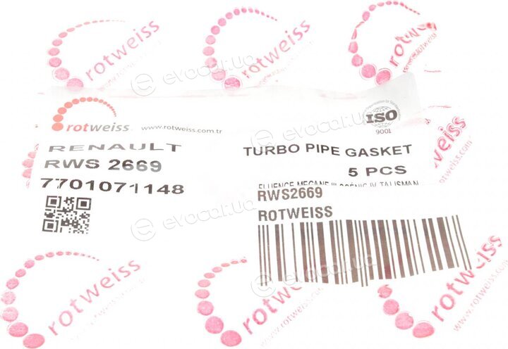 Rotweiss RWS2669