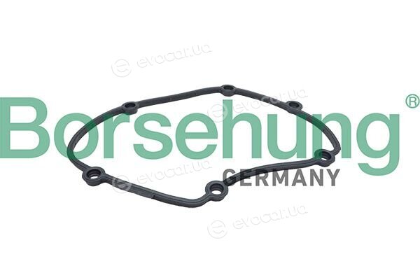 Borsehung B13263