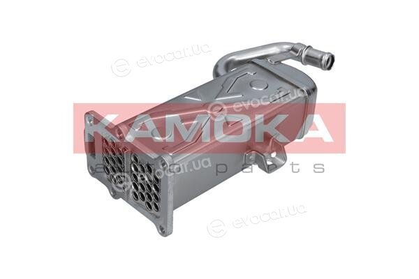Kamoka 19C071