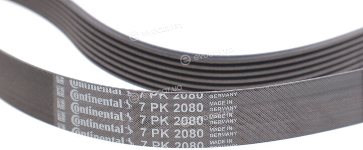 Continental 7PK2080