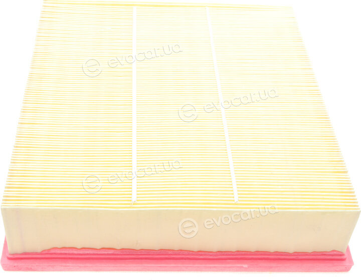 Solgy 103062