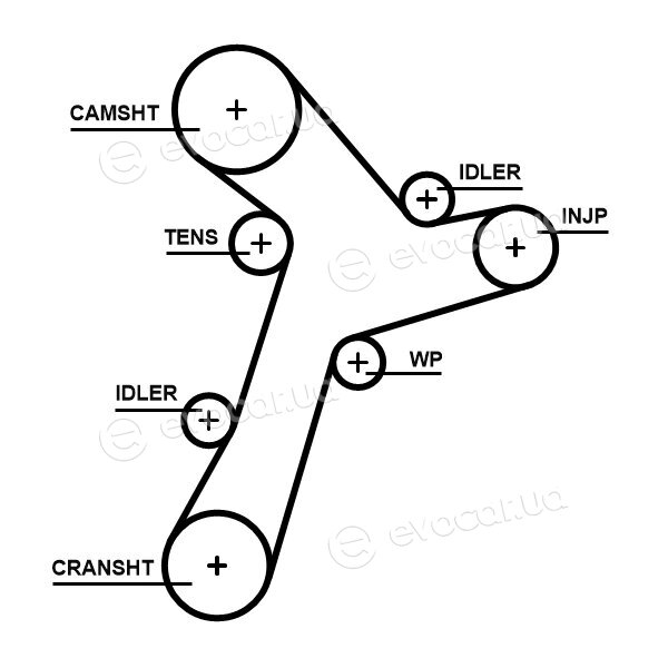 Gates K015695XS