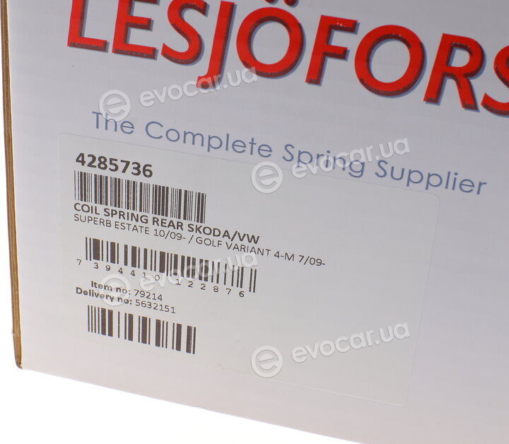 Lesjofors 4285736