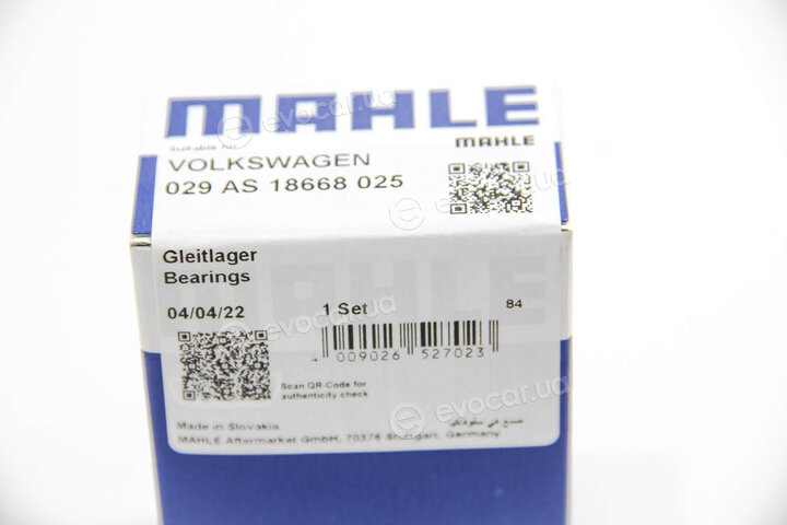 Mahle 029 AS 18668 025