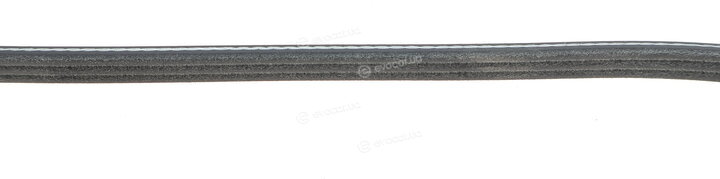 Dayco 3PK860S
