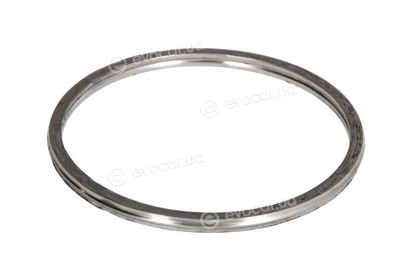 Elring 509.890