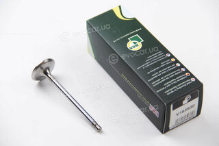 BGA V165930