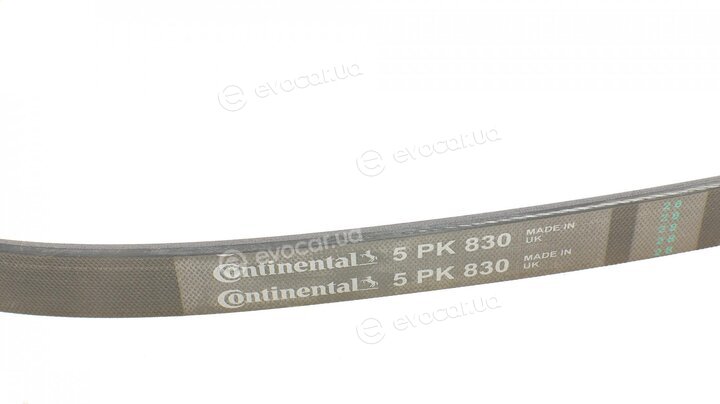 Continental 5PK830