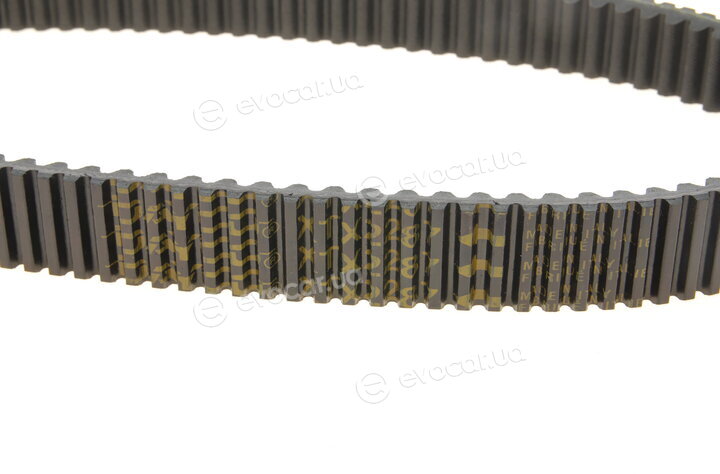 Dayco XTX2287