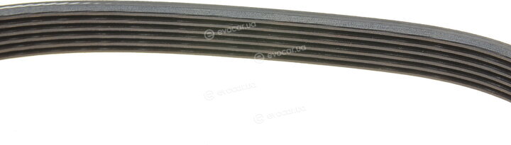 Dayco 6PK1725
