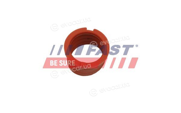 Fast FT48814