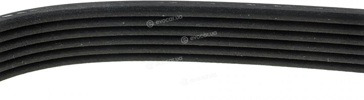 Dayco 6PK1855