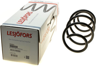 Lesjofors 4066814