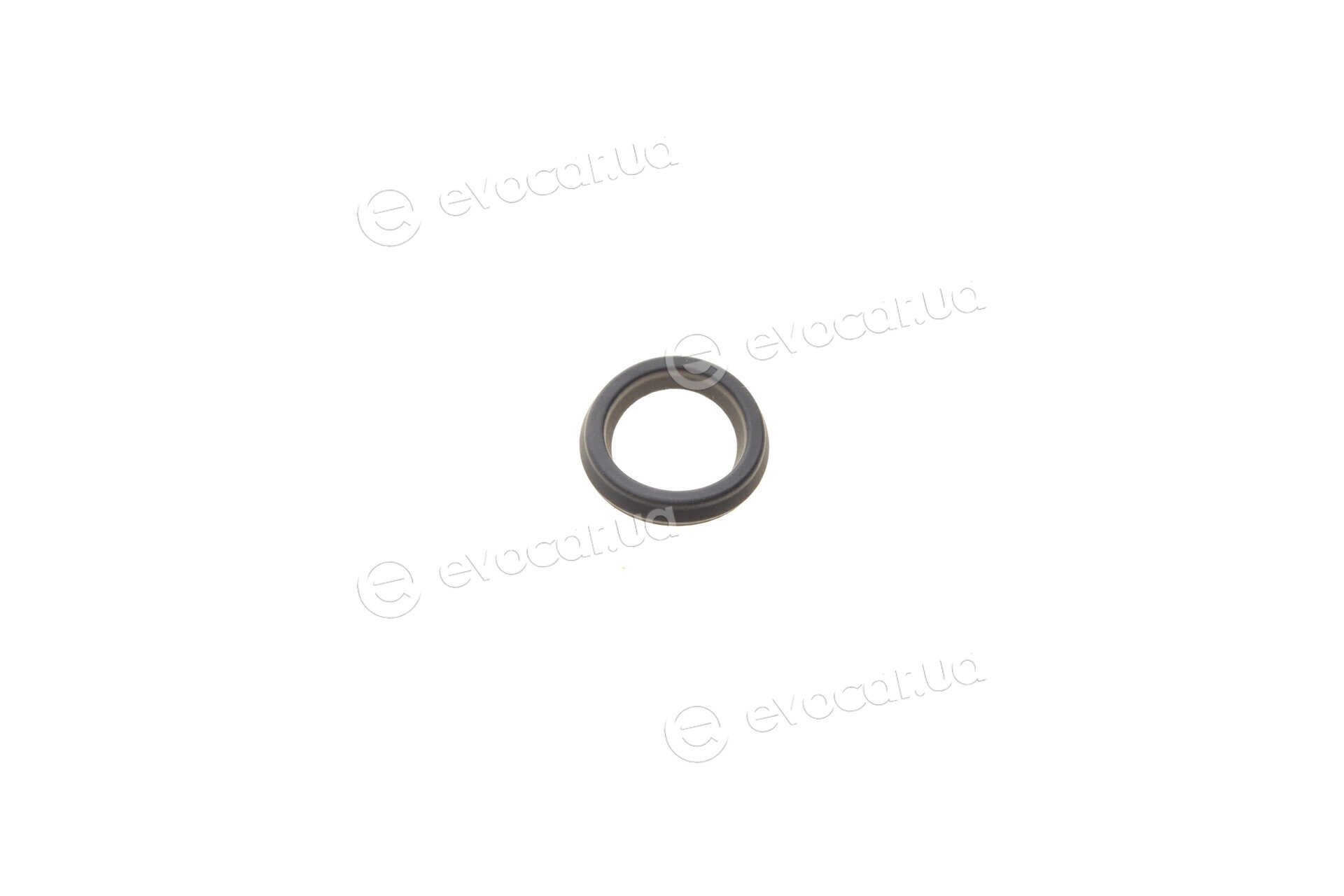 Frenkit 734039