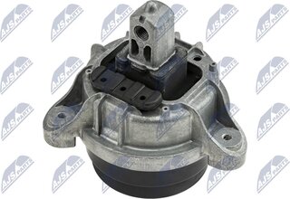 NTY ZPS-BM-005
