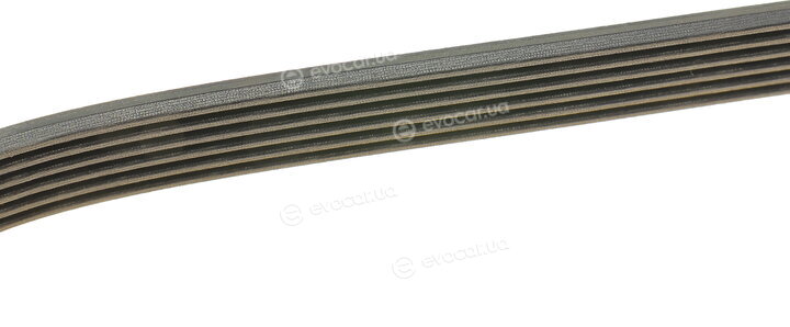 Dayco 6PK1820
