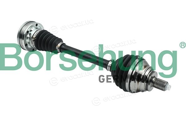 Borsehung B18310