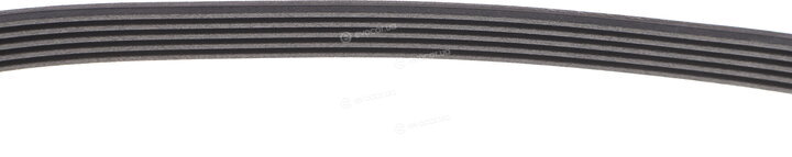 Continental 5PK775 ELAST