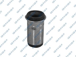 GSP 510896