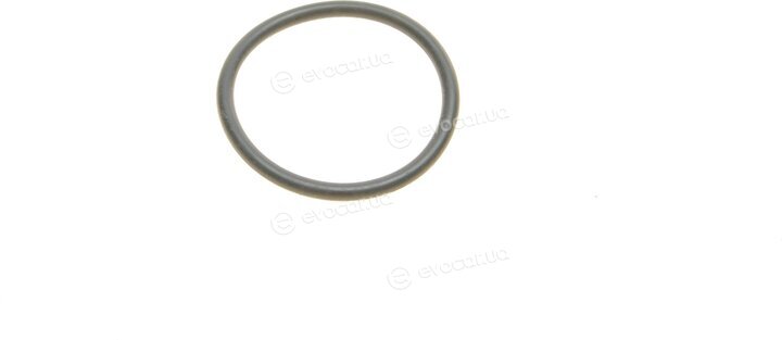 Elring 351.980