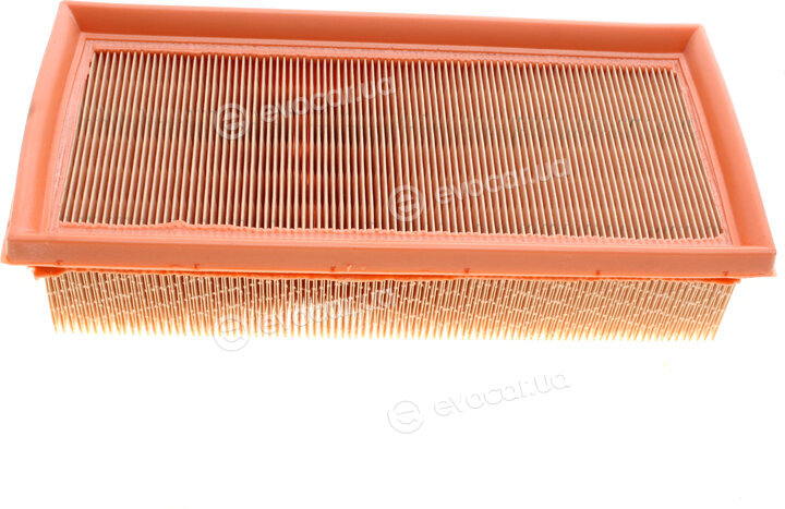 Mann C 2584