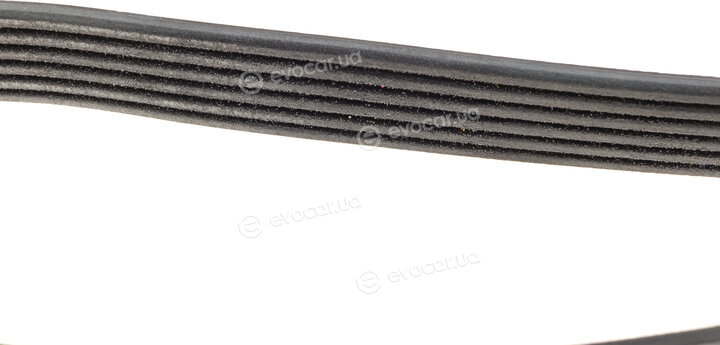 Dayco 6PK1372