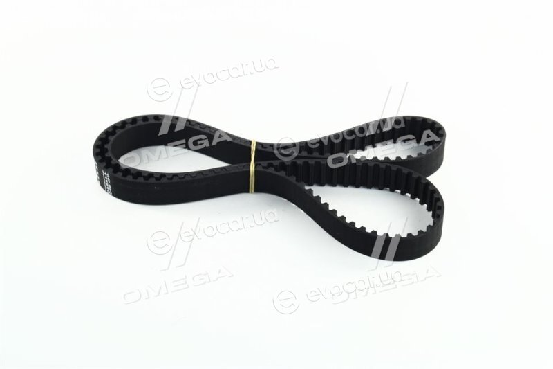 Finwhale BD136