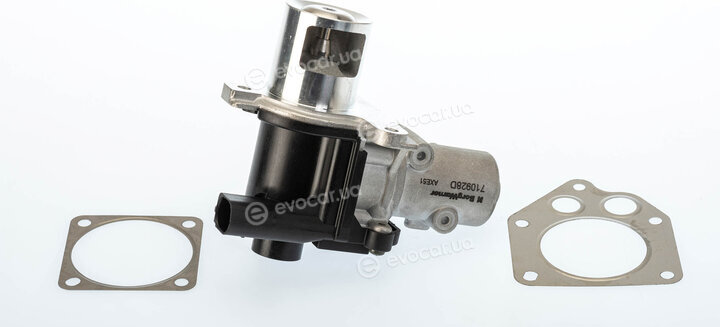 Wahler / BorgWarner 710928D