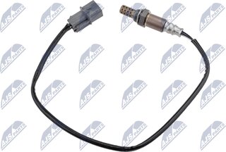 NTY ESL-MS-016