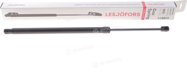Lesjofors 8175734