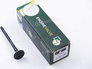 BGA V162401