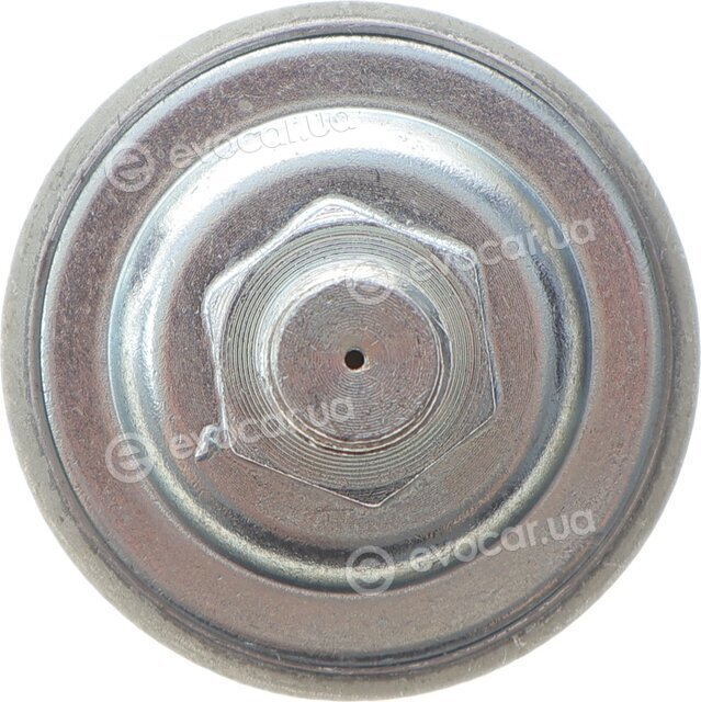 AIC 56487