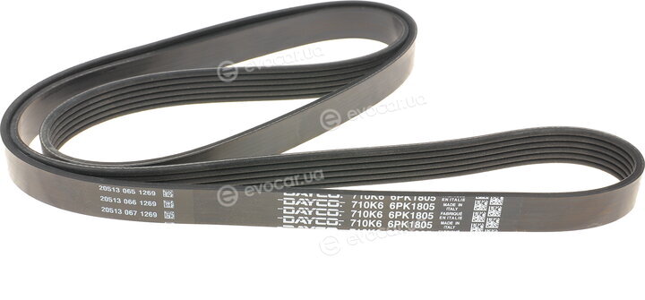Dayco 6PK1805