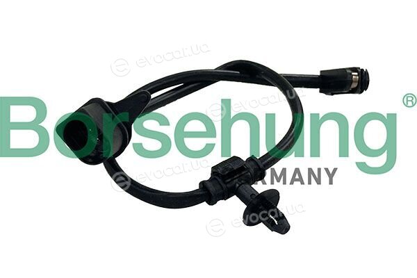 Borsehung B13231