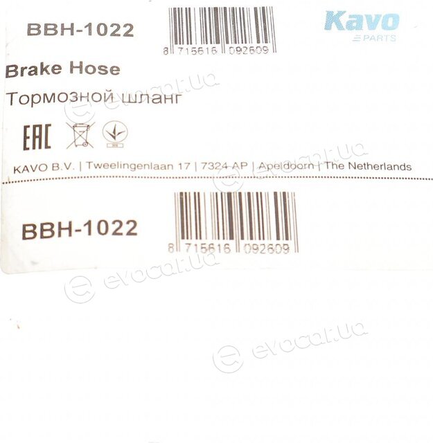 Kavo BBH-1022