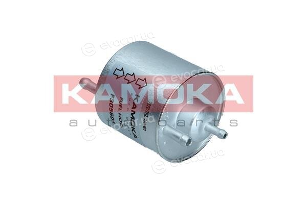 Kamoka F305601