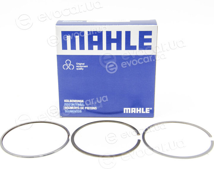 Mahle 033 19 N0